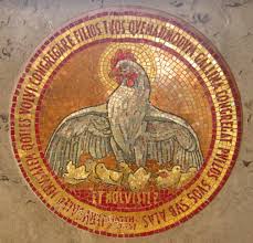 as-a-hen-gathers-brood-2